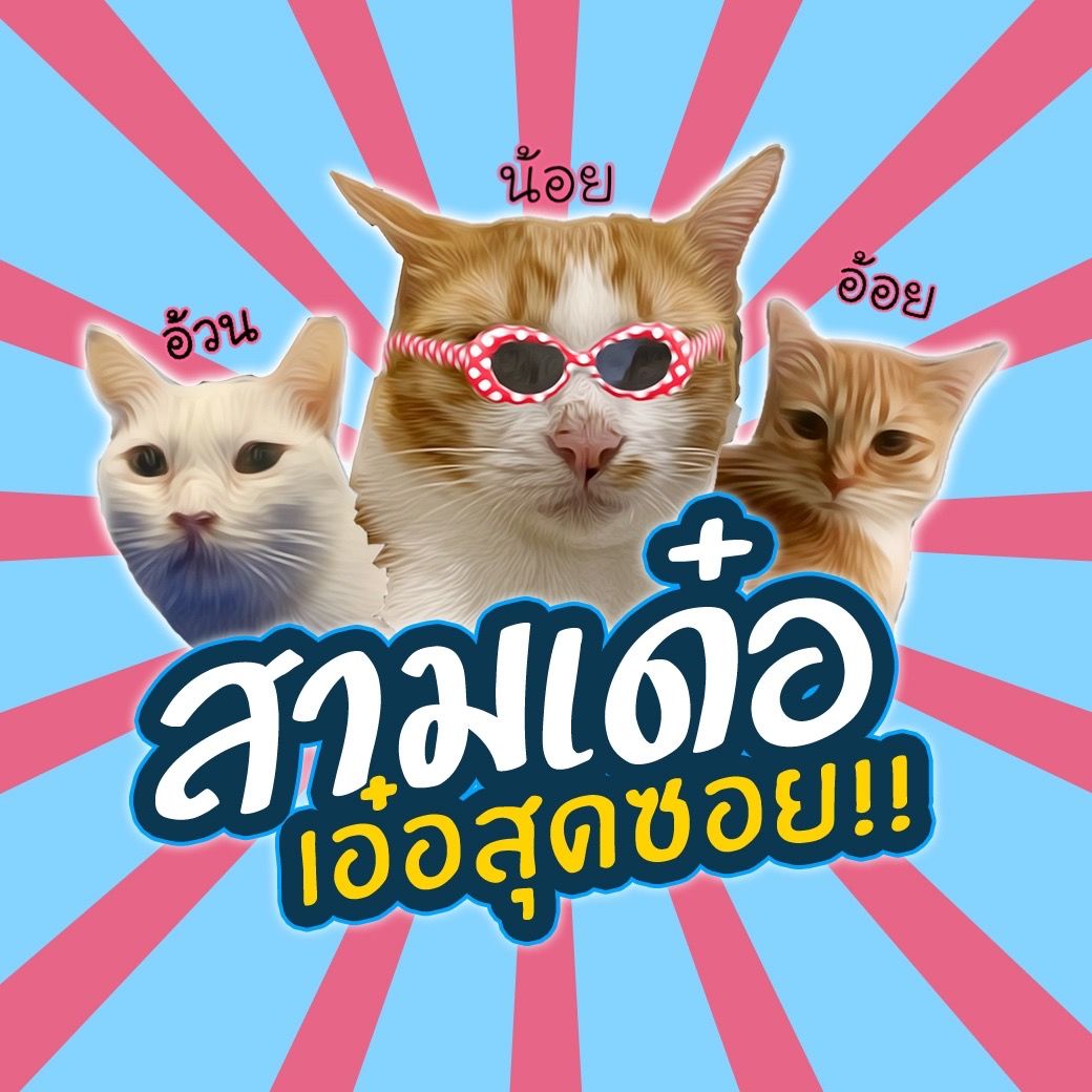 สามเด๋อเอ๋อสุดซอย