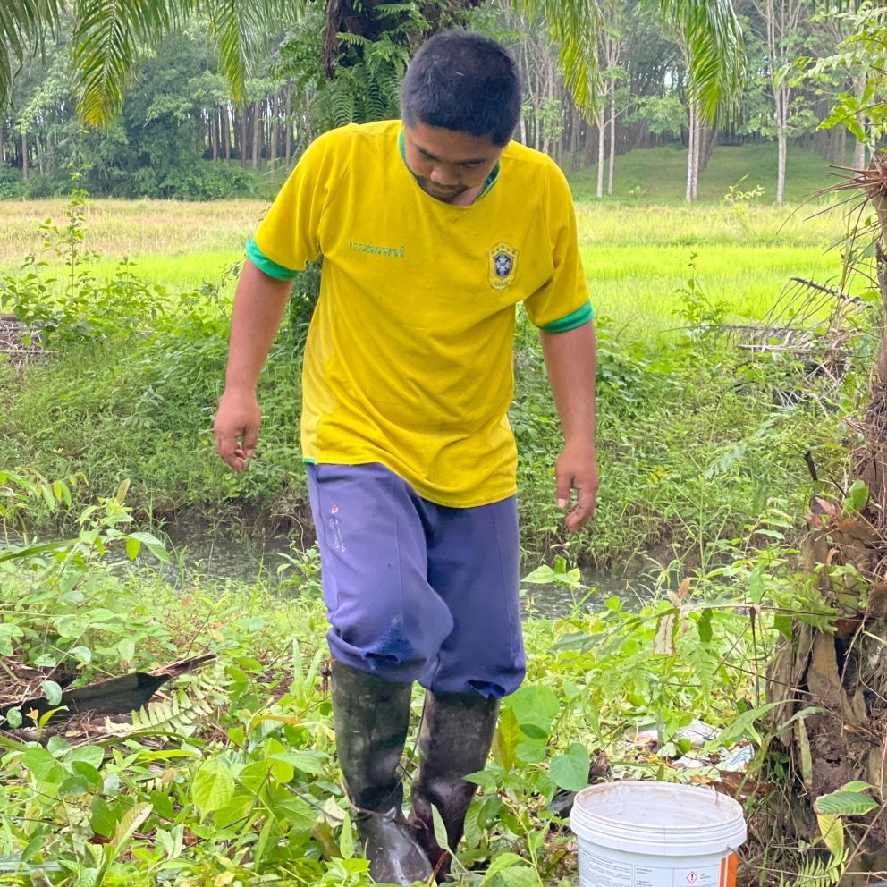 บังซานคนทำสวน