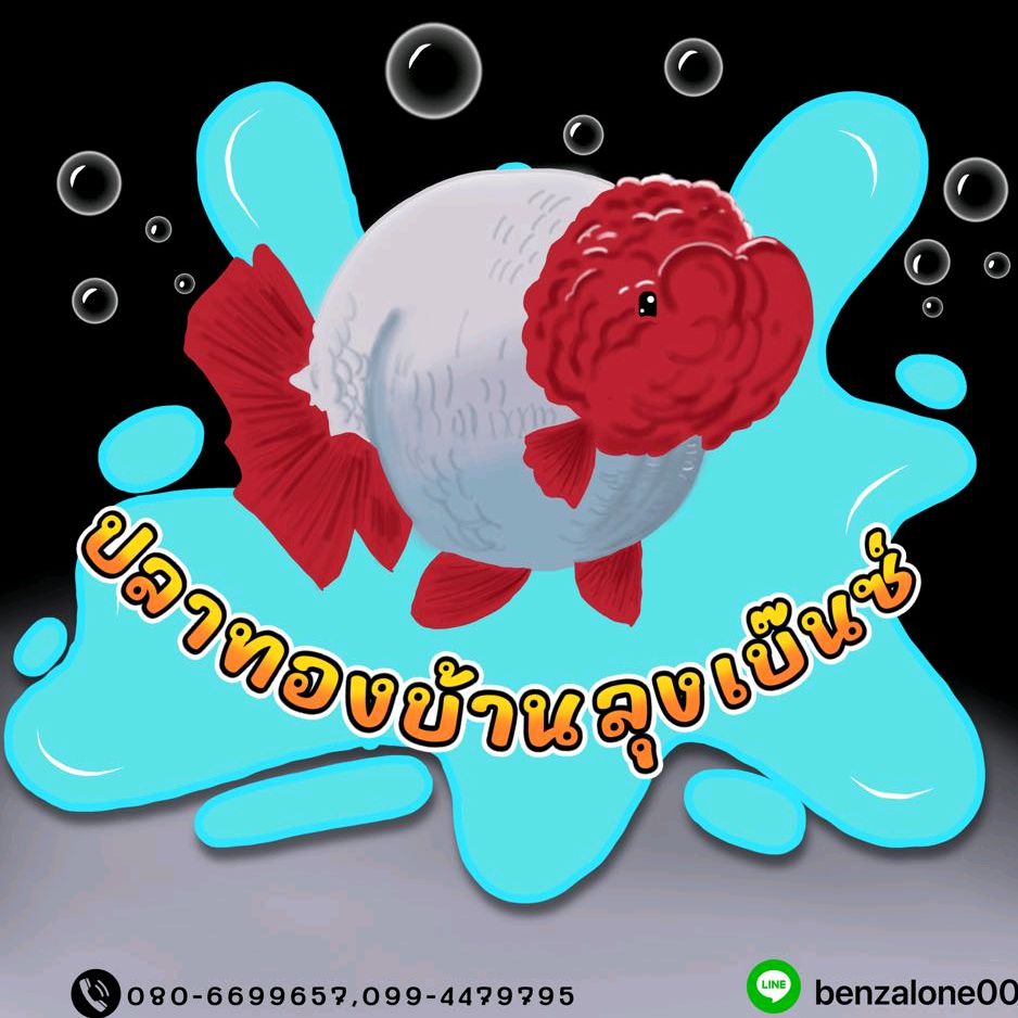 ปลาทองบ้านลุงเบ๊นซ์🐡