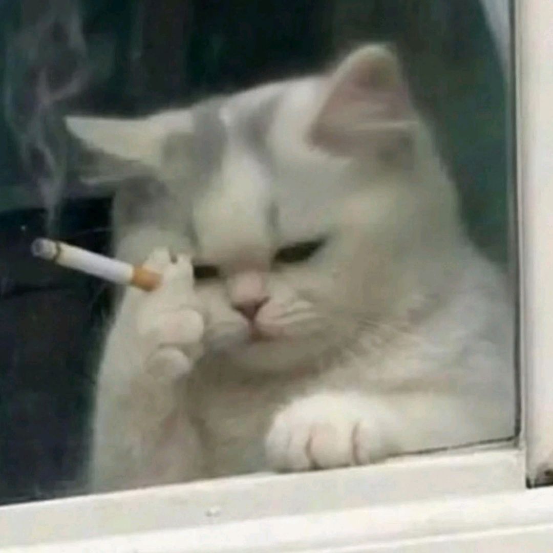 นมก็เล็กจะเก๊กทำไม