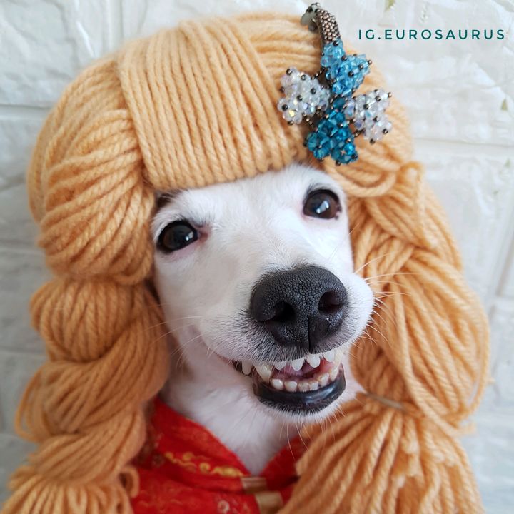 ig.eurosaurus 🇹🇭