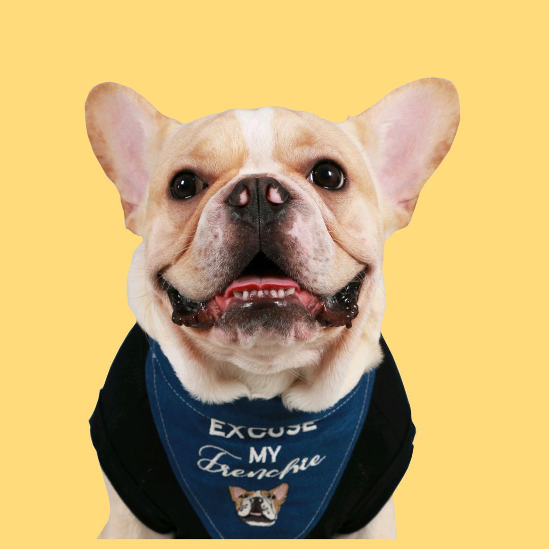 น้อยหนัง & ปาป๊า