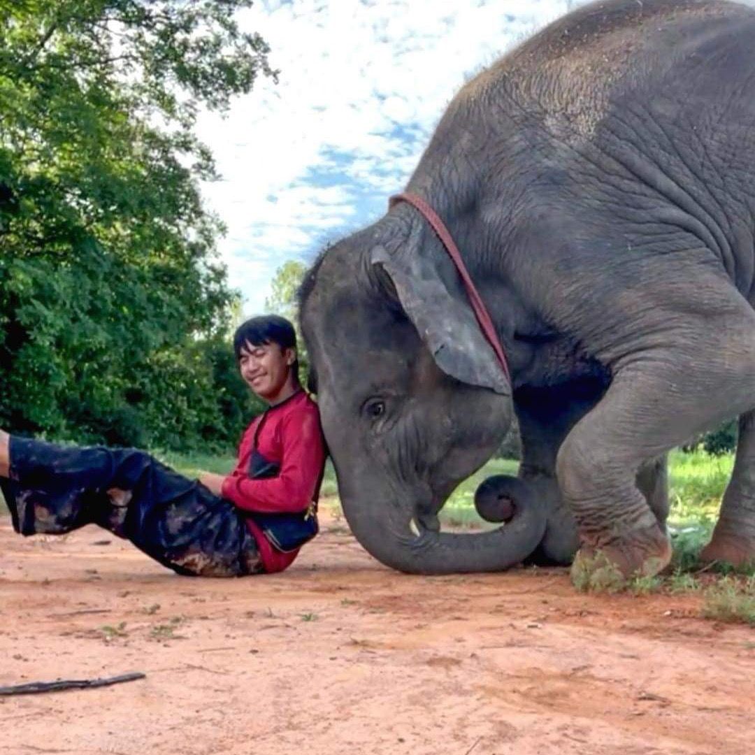 Jubjang Family จุ๊บแจงแฟมิลี่