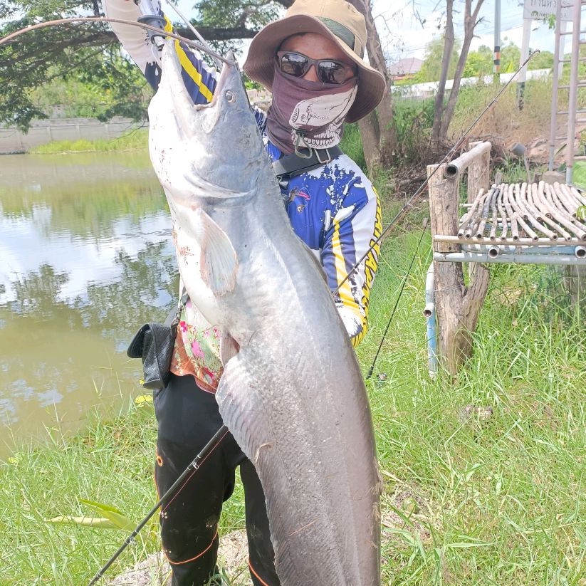 น้ามอส  เซียนปลา