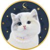 ฟาร์มแมวนำเข้า Dream Cattery