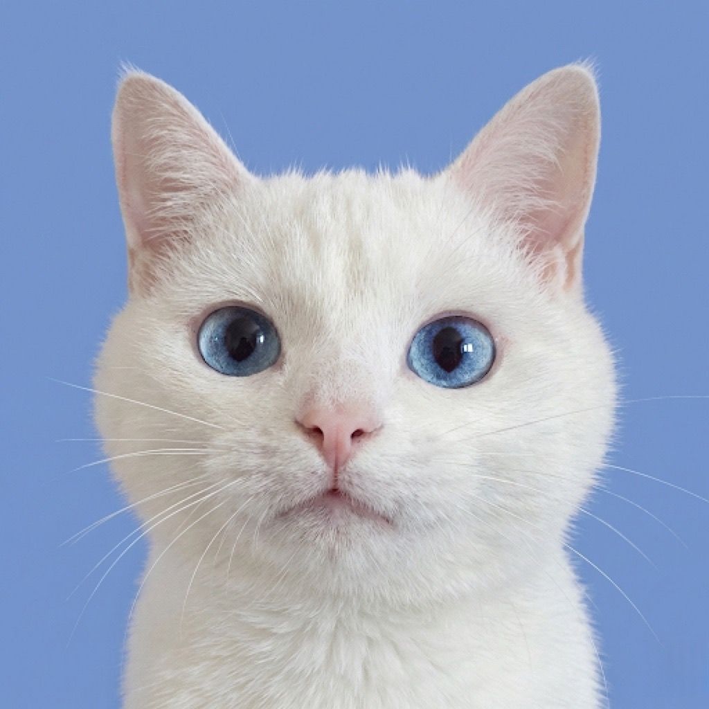 ผมจะทำหนังไซไฟ (2.1M) 🐈