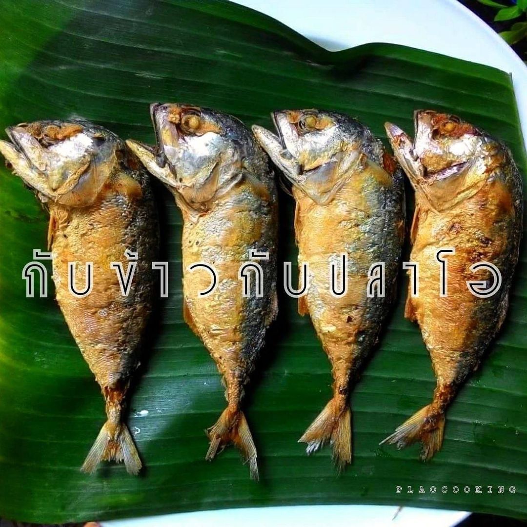 กับข้าวกับปลาโอ Plaocooking