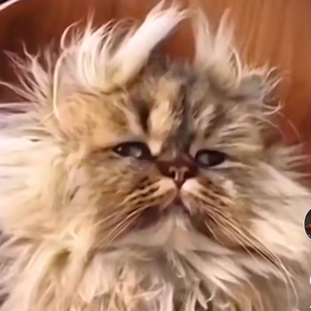 ปลายฟ้าอยากกินไอติม🍦