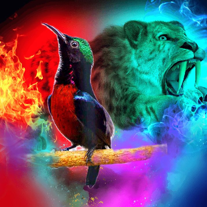 Sun  birds  Thailand