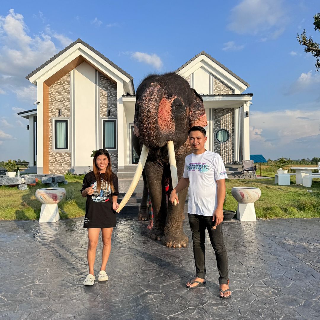 เสี่ยตี๋พี่เอื้องเกินไปหัวหน้า