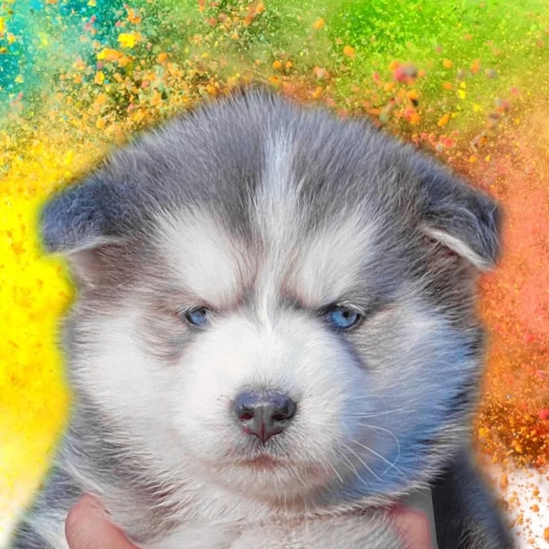 วุ่นวาย สตอรี่