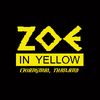 ZOE IN YELLOW CHIANGMAI